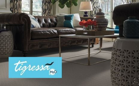 Tigress H2O Carpet in Grey in Living Room